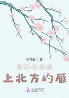 南方的鸟遇上北方的雁在线阅读