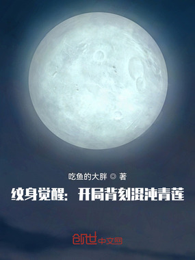 灵纹觉醒:开局背刻混沌青莲在线阅读