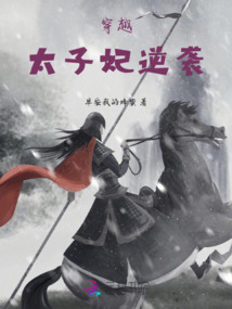 穿越太子妃逆襲