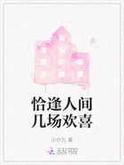 恰逢人间几场欢喜在线阅读