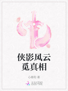 侠影风云觅真相在线阅读