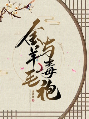 金羊毛与毒袍在线阅读