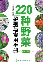 220种野菜鉴别与食用手册（第二版）