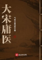 大宋庸醫在線閱讀