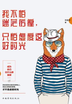 我不怕迷茫彷徨，只怕虚度这好时光封面