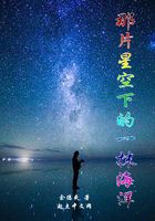 那片星空下的一抹海洋