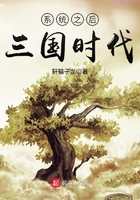 系统之后三国时代