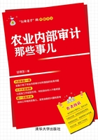 农业内部审计那些事儿在线阅读