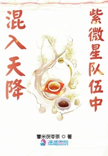 混入天降紫微星隊伍中