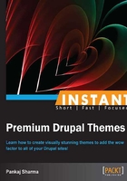 INSTANT Premium Drupal Themes在線閱讀