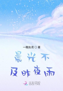 晨光不及昨夜雨