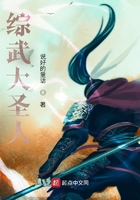 綜武大圣人在線閱讀