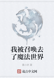 我被召喚去了魔法世界