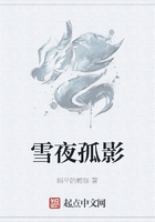 雪夜孤影在线阅读