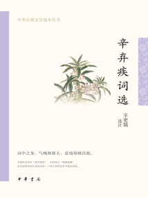 辛棄疾詞選（中華古典文學選本叢書）