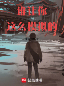 誰讓你這么模擬的！
