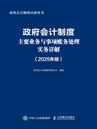 政府会计制度主要业务与事项账务处理实务详解（2025年版）在线阅读