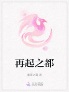 再起之都在线阅读
