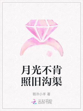 月光不肯照旧沟渠在线阅读