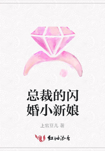 总裁的闪婚小新娘