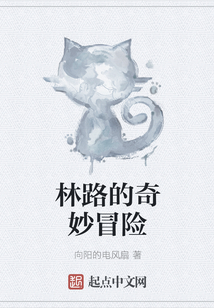 林路的奇妙冒險