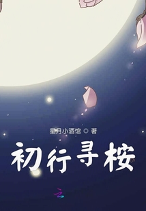 初行尋桉