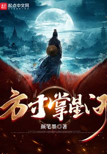 方寸掌星河