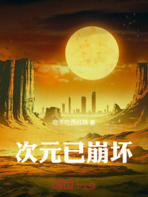 次元已崩壞