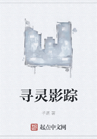 寻灵影踪在线阅读