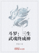 斗罗：三生武魂终成神在线阅读