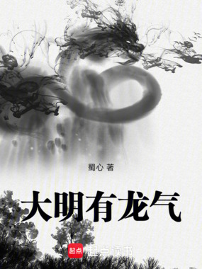 大明有龙气在线阅读