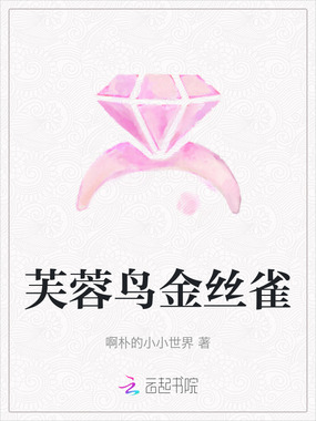 芙蓉鸟金丝雀在线阅读