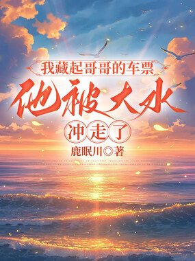 我藏起哥哥的车票，他被大水冲走了在线阅读