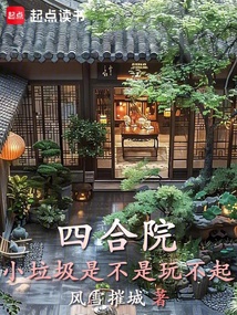 四合院:小垃圾是不是玩不起 封面