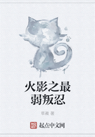 火影之最弱叛忍