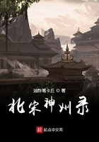北宋神州录