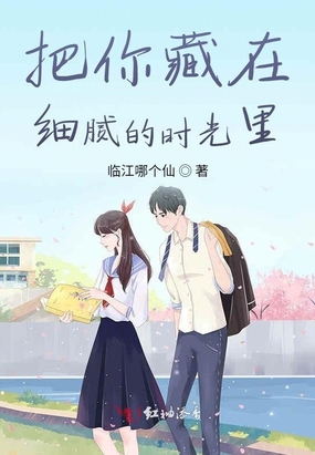 把你藏在细腻的时光里在线阅读