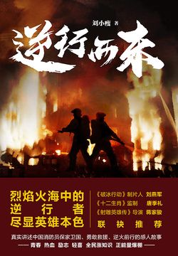 逆行而来 封面