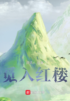 覓入紅樓在線閱讀