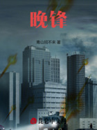 晚锋在线阅读