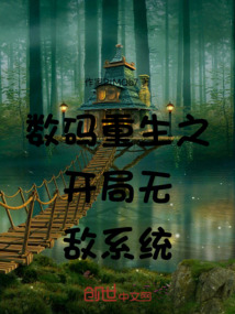 回溯之鑰:數(shù)碼重生錄