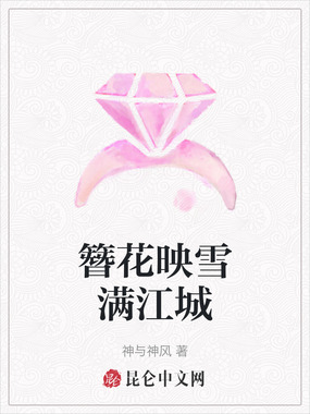 簪花映雪满江城在线阅读
