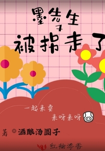 墨先生又被拐走了