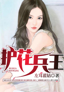 护花兵王