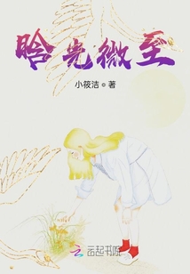 晗光微至