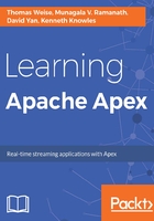 Learning Apache Apex