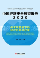 中国经济安全展望报告（2020）在线阅读