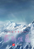 拾光者之君影难觅在线阅读