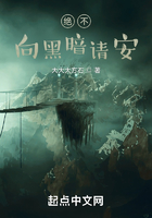 绝不向黑暗请安在线阅读