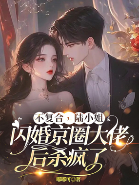 不复合，陆小姐闪婚京圈大佬后杀疯了在线阅读